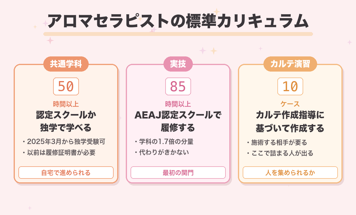 アロマセラピストの標準カリキュラム