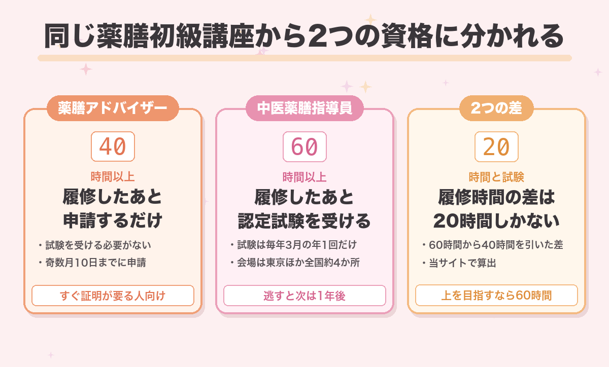 同じ薬膳初級講座から2つの資格に分かれる
