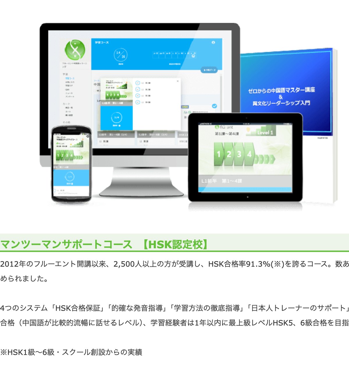 フルーエント中国語学院のマンツーマンサポートコースの公式サイト。HSK認定校でHSK合格率91.3%と示されている